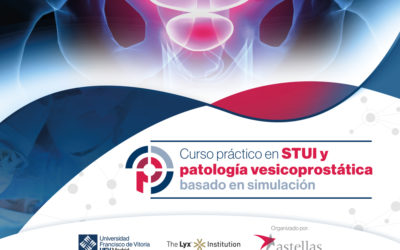 Curso práctico en STUI y patología vesicoprostática basado en simulación